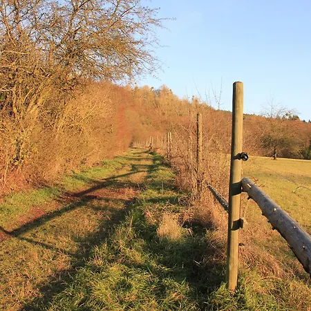 公寓 Klimek 米歇尔施塔特