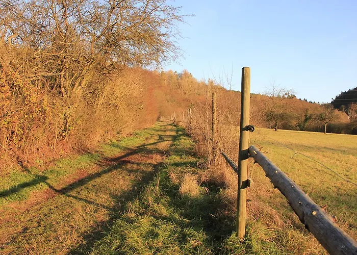 Apartment Klimek Michelstadt